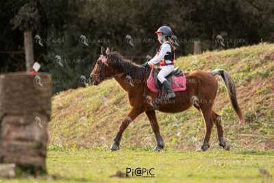 TREC02-06082024-481