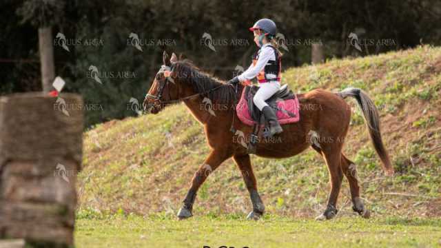 TREC02-06082024-481