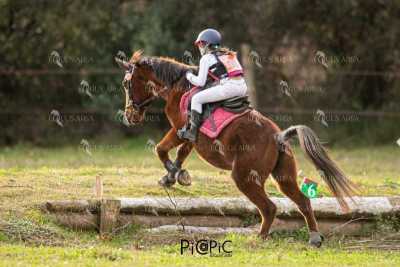 TREC02-06082024-482