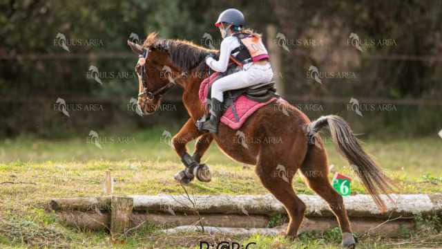 TREC02-06082024-482