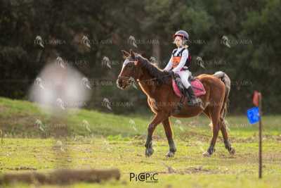 TREC02-06082024-483