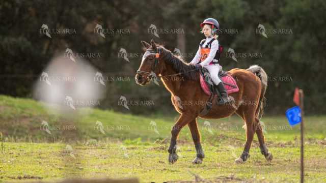 TREC02-06082024-483