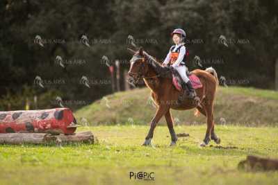 TREC02-06082024-484