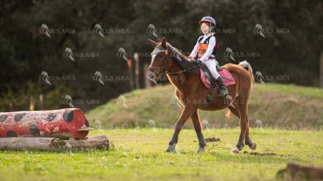 TREC02-06082024-484