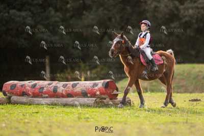 TREC02-06082024-485