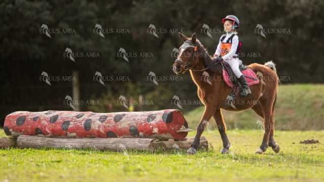 TREC02-06082024-485