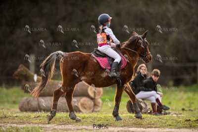 TREC02-06082024-486