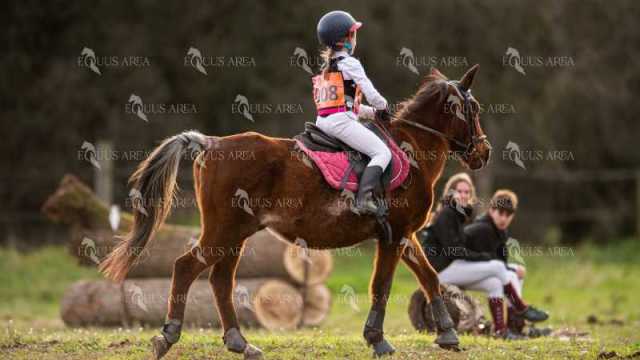 TREC02-06082024-486