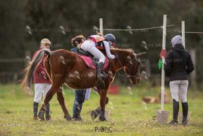 TREC02-06082024-487