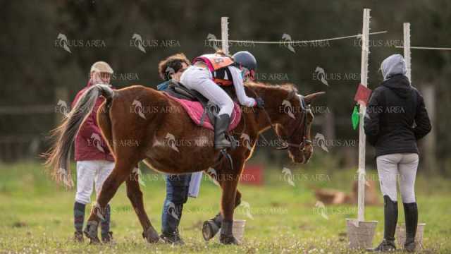 TREC02-06082024-487