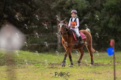 TREC02-06082024-488