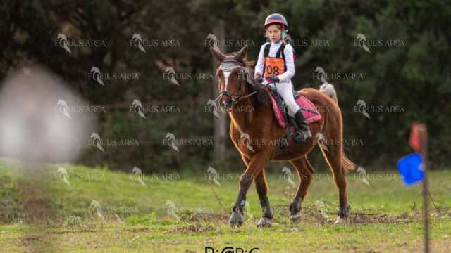 TREC02-06082024-488