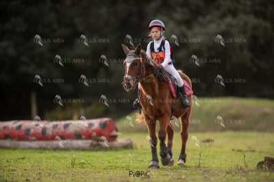 TREC02-06082024-489