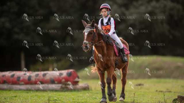 TREC02-06082024-489