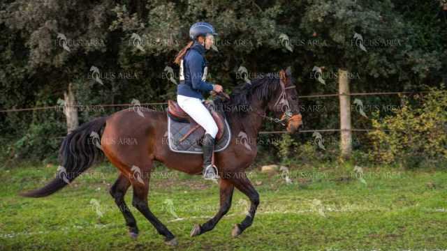 TREC02-06082024-49
