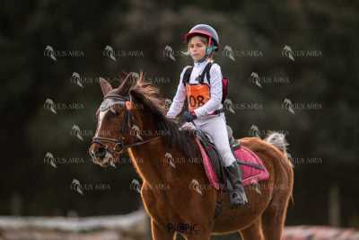 TREC02-06082024-490