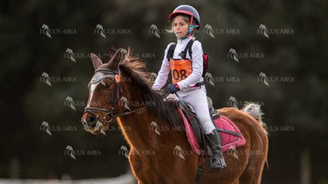 TREC02-06082024-490