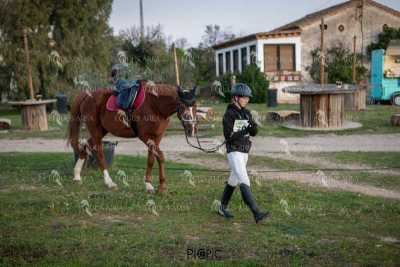TREC02-06082024-491