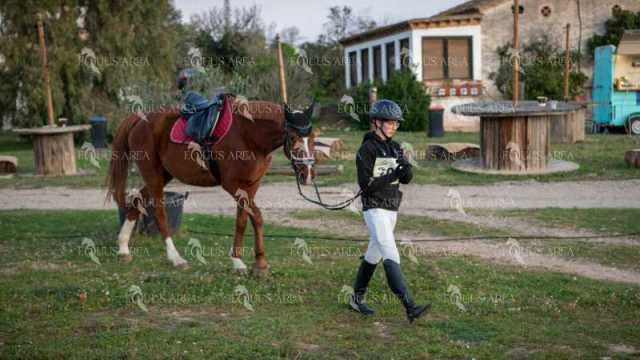 TREC02-06082024-491