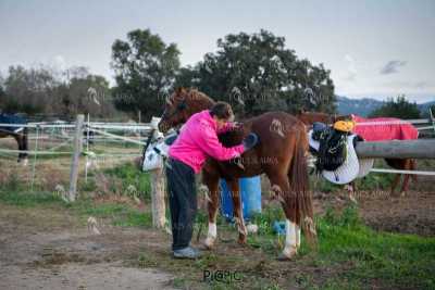 TREC02-06082024-492