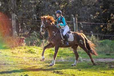 TREC02-06082024-495
