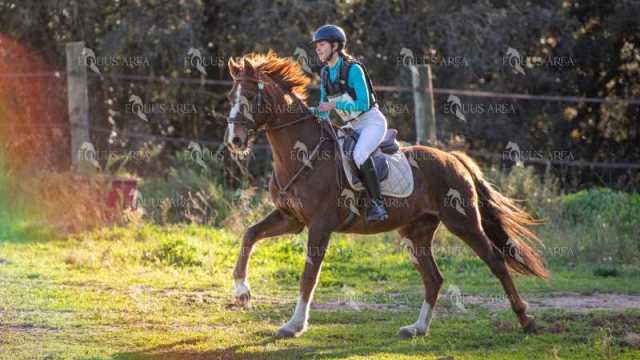 TREC02-06082024-495