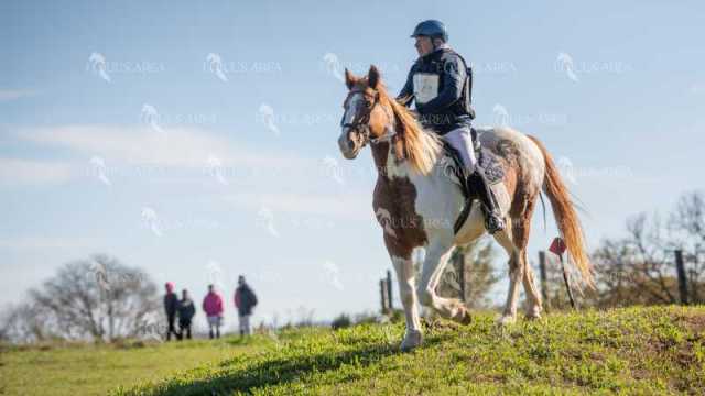 TREC02-06082024-497