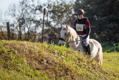 TREC02-06082024-498