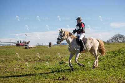 TREC02-06082024-499