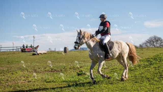 TREC02-06082024-499