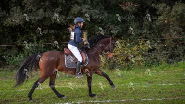 TREC02-06082024-50