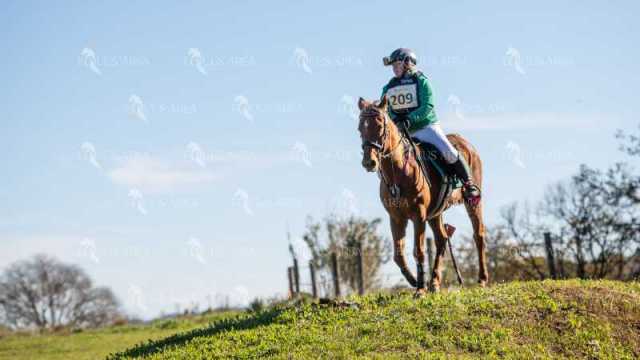 TREC02-06082024-500