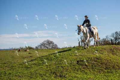 TREC02-06082024-505