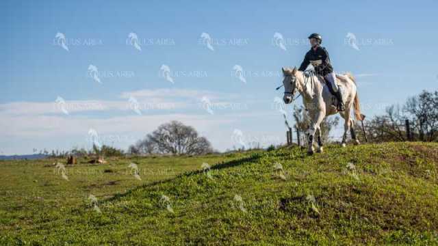 TREC02-06082024-505