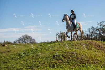 TREC02-06082024-506
