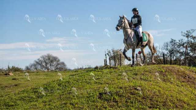 TREC02-06082024-506