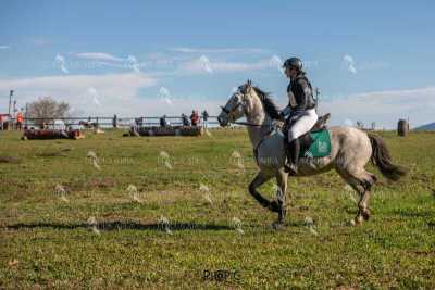 TREC02-06082024-507