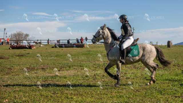 TREC02-06082024-507