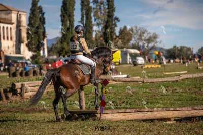TREC02-06082024-508
