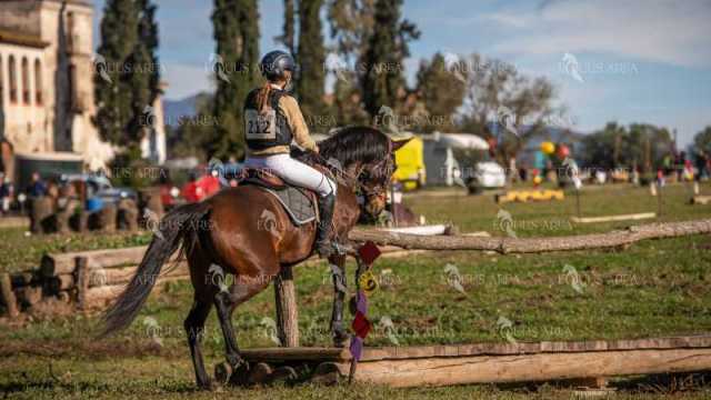 TREC02-06082024-508