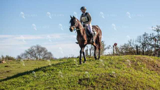 TREC02-06082024-509