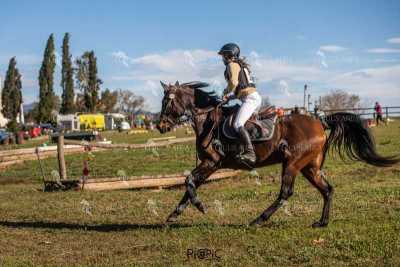 TREC02-06082024-510