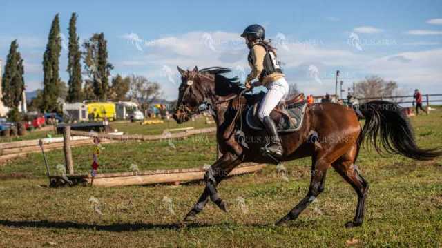 TREC02-06082024-510
