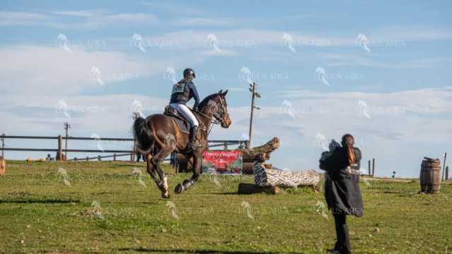 TREC02-06082024-511