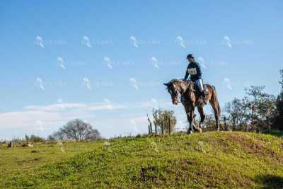 TREC02-06082024-512