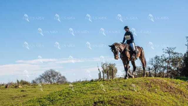 TREC02-06082024-512