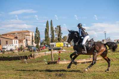 TREC02-06082024-513