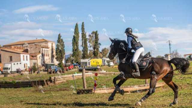 TREC02-06082024-513