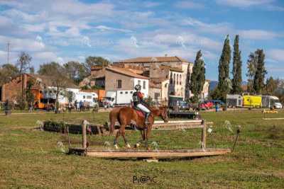 TREC02-06082024-514