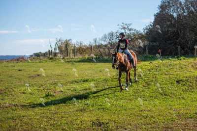 TREC02-06082024-515
